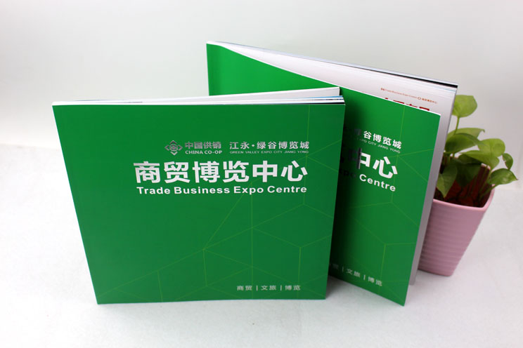 江永商貿(mào)博覽中心樓書畫冊